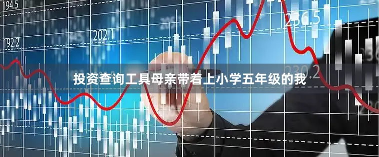 投资查询工具母亲带着上小学五年级的我
