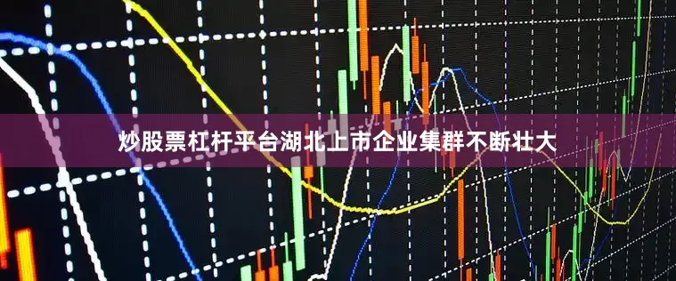 炒股票杠杆平台湖北上市企业集群不断壮大