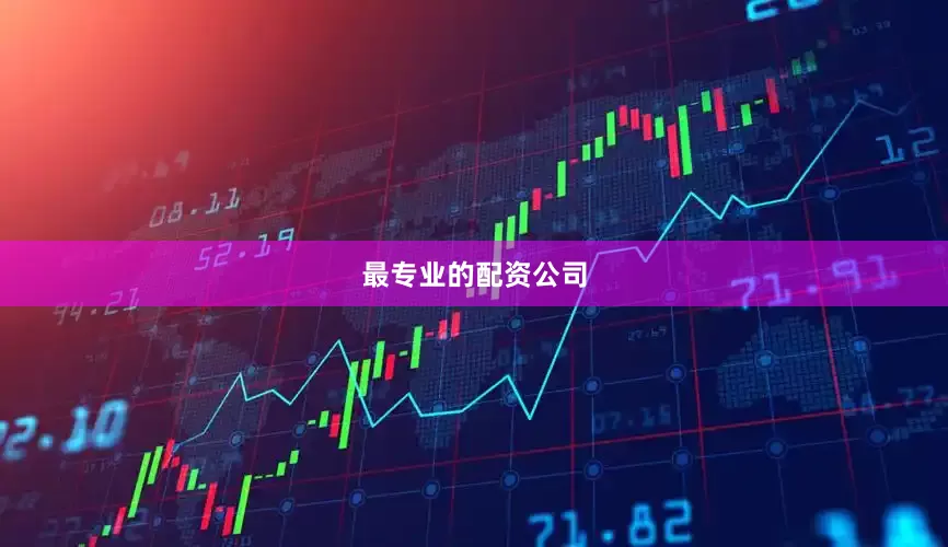 最专业的配资公司