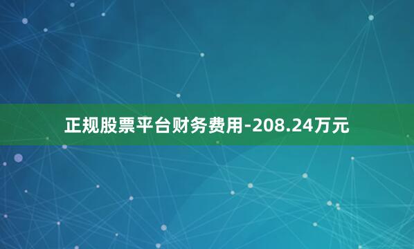 正规股票平台财务费用-208.24万元
