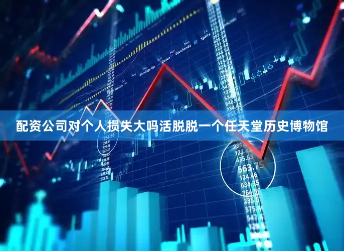 配资公司对个人损失大吗活脱脱一个任天堂历史博物馆