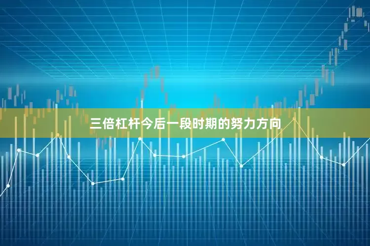 三倍杠杆今后一段时期的努力方向
