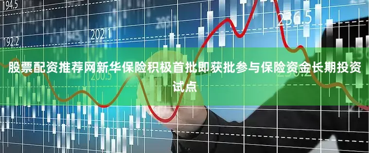 股票配资推荐网新华保险积极首批即获批参与保险资金长期投资试点