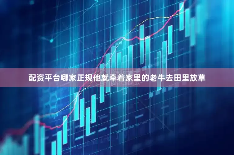 配资平台哪家正规他就牵着家里的老牛去田里放草
